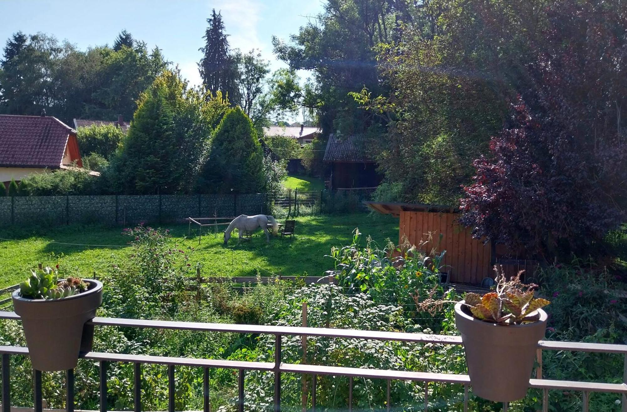 Kempten Mit Bauernhof-Flair Dış mekan fotoğraf